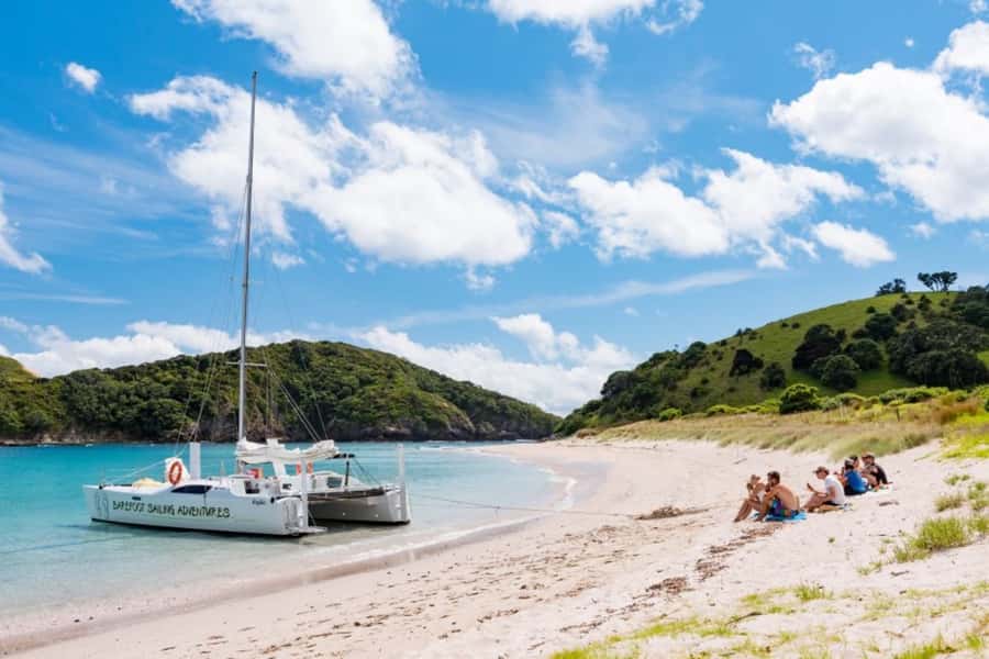 Bay of Islands: Catamaran Sail, Wildlife Island & Lunch - Who this tour suits best (and who should pick something else)