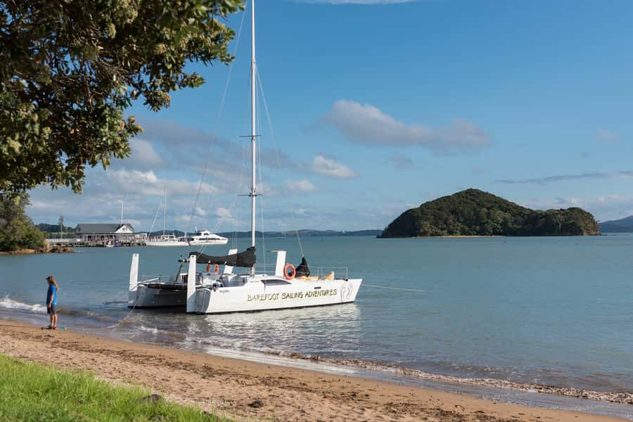 Bay of Islands: Catamaran Sail, Wildlife Island & Lunch - Sailing through the Bay of Islands with a crew that keeps it real