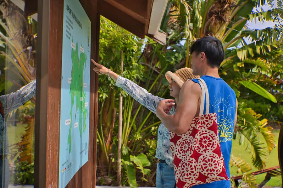 Bay of Islands: Discover the Bay Cruise with Island Lunch - Otehei Bay on Urupukapuka: the lunch stop with room to breathe