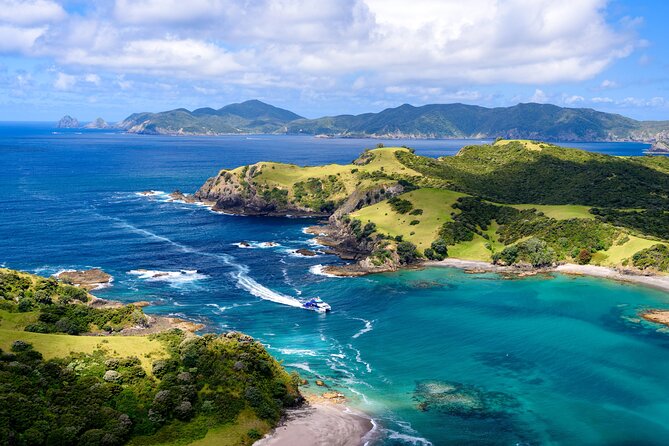 Bay of Islands Discovery Experience from Auckland incl. Hole In The Rock Cruise - A private Bay of Islands day that actually feels like a plan