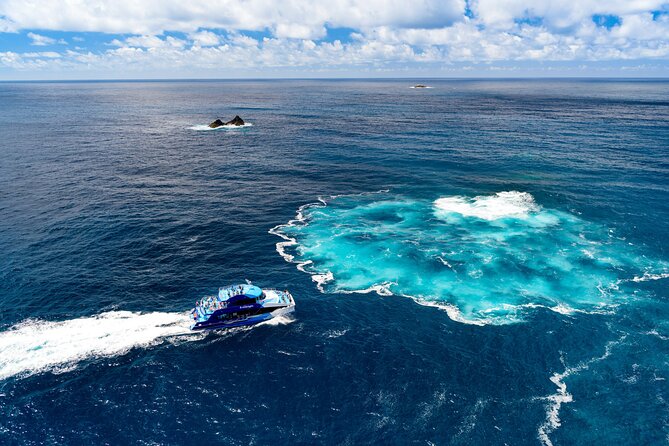 Bay of Islands Discovery Experience from Auckland incl. Hole In The Rock Cruise - Auckland to Northland: the long drive, plus how to make it painless