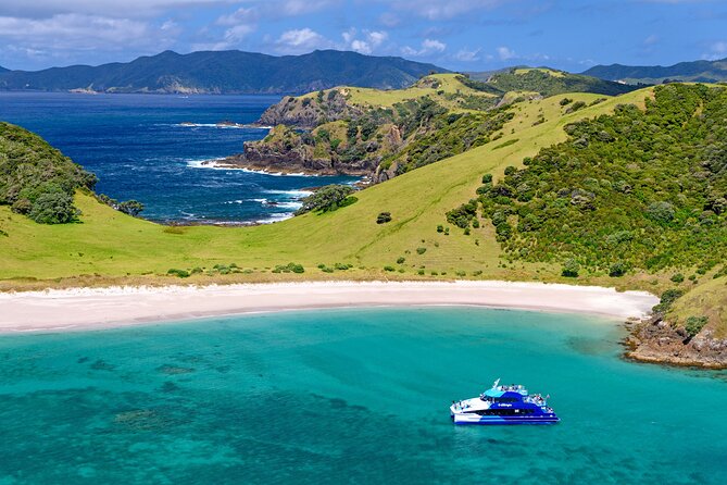 Bay of Islands Discovery Experience from Auckland incl. Hole In The Rock Cruise - Who this tour suits best, and who should think twice