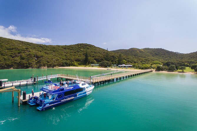 Bay of Islands Explorer Experience Small Group Tour From Auckland - A 13-hour Bay of Islands day trip that starts with Auckland views
