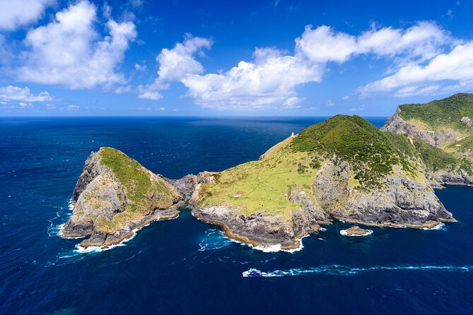 Bay of Islands Explorer Experience Small Group Tour From Auckland - Who should book this Bay of Islands Explorer tour?