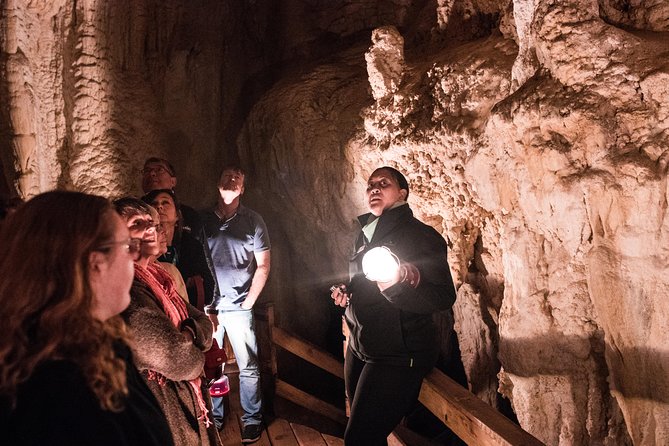 Bay of Islands Glow Worm Caves & Scenic Shore Excursion - Shore trip value: 5.5 hours packed with real variety