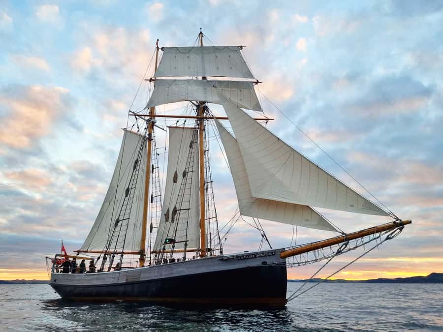 Bay of Islands: Late Afternoon Sailing Cruise - Hoisting sails and teamwork: the best kind of hands-on
