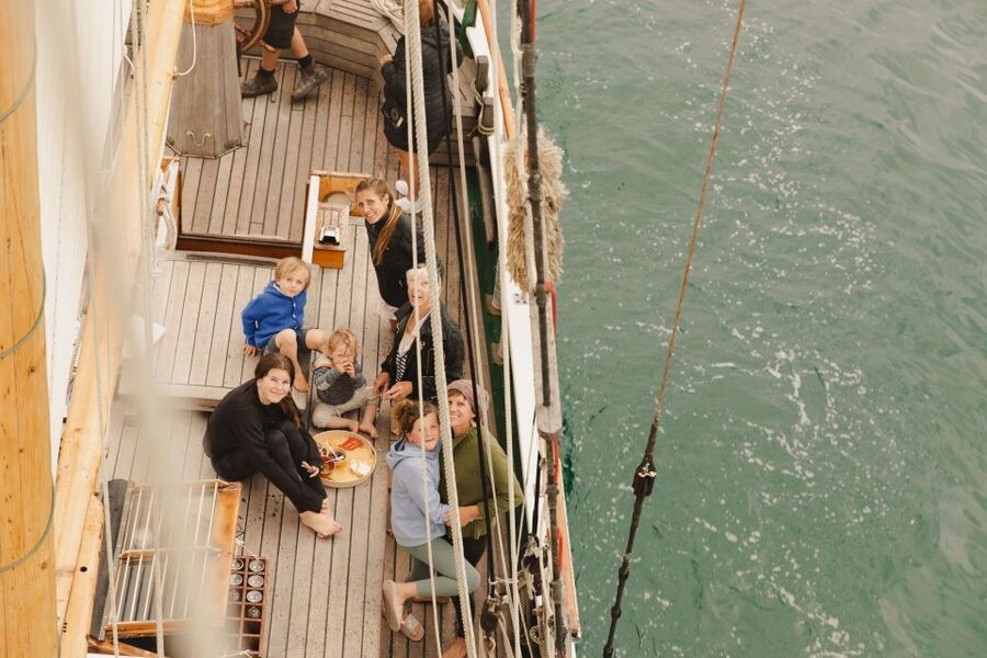 Bay of Islands: Late Afternoon Sailing Cruise - Wildlife and the “bonus moments” that happen on the water