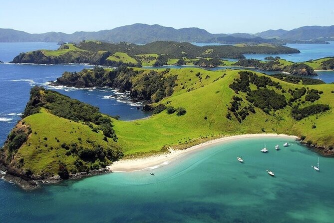 Bay of Islands Private Tour - Auckland Hotel Pickup and the Far North Drive to Paihia