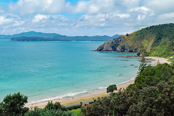 Bay of Islands Scenic Tour - A Half-Day Loop That Actually Shows You the Bay