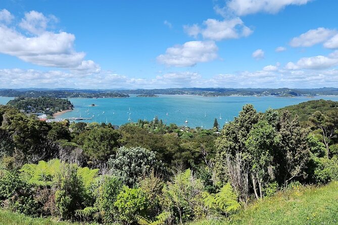 Bay of Islands Scenic Tour - Paihia and Opua: The Comfortable Middle of the Day