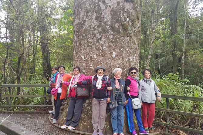 Bay of Islands Shore Excursion: Puketi Rainforest Guided Walk - Price and value: is $157.01 a fair deal for a Bay of Islands shore excursion?