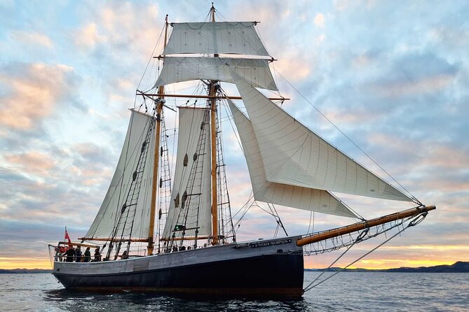 Bay of Islands Tall Ship Sundowner Sailing - Key Points to Know Before You Go