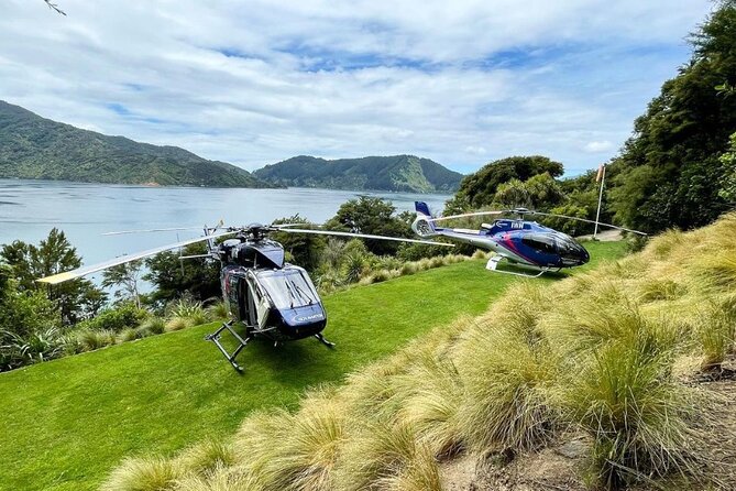Bay of Many Coves, Marlborough Sounds- Heli-lunch from Wellington - Timing, group size, and what to bring for a smooth day
