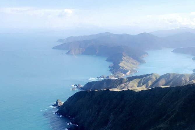 Bay of Many Coves, Marlborough Sounds- Heli-lunch from Wellington - Who should book this heli-lunch, and who should skip it