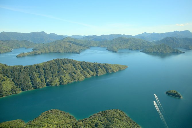 Bays and Bush Flight Scenic Tour - Key things to know before you go