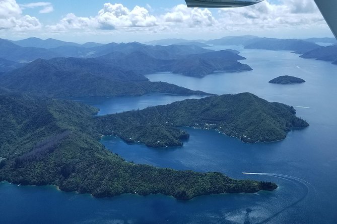 Bays and Bush Flight Scenic Tour - Bonus detail: landing on a private grass strip and island-scale charm