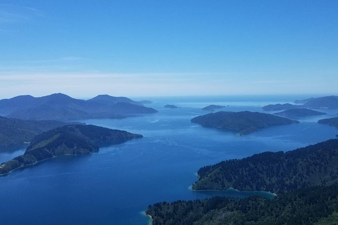 Bays and Bush Flight Scenic Tour - The 40-minute outing: timing, boarding, and how the flight fits your day