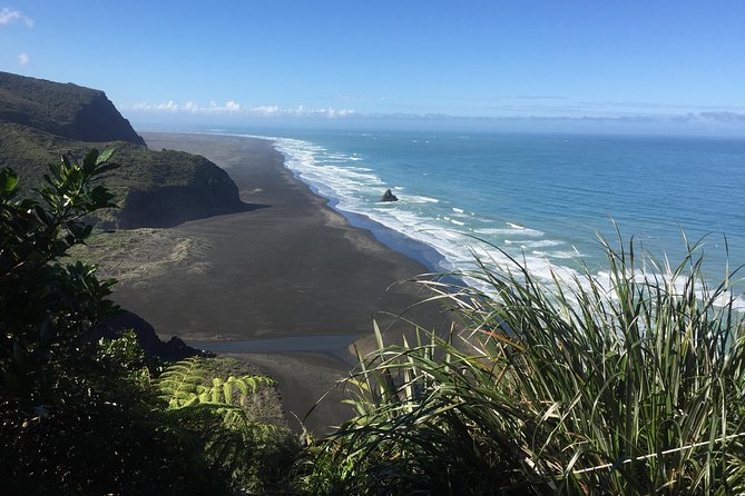 Beautiful Nature Tours Auckland - Private Tour - A private half-day that makes the West Coast easier