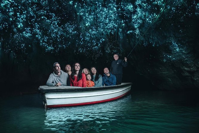 Beautiful Nature Tours Auckland - Private Tour - Beyond the obvious: rainforest and black-sand beach time