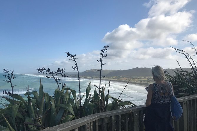 Beautiful Nature Tours Auckland - Private Tour - Wildlife spotting: seals, dolphins, and gannets
