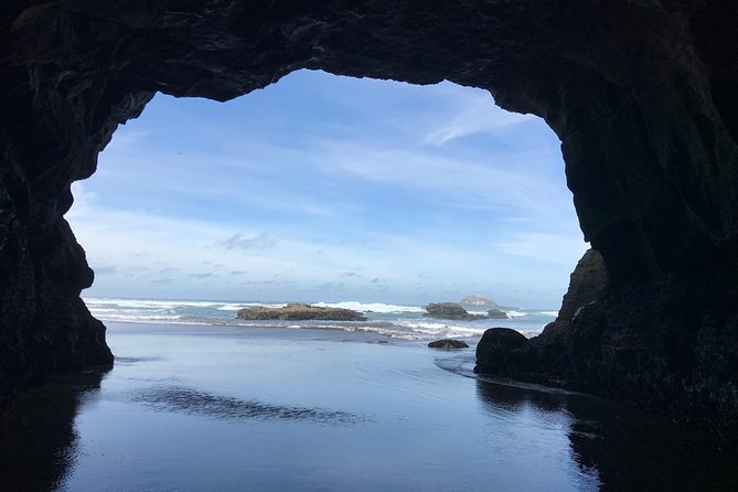 Beautiful Nature Tours Auckland - Private Tour - Snacks, water, and how to handle the picnic break