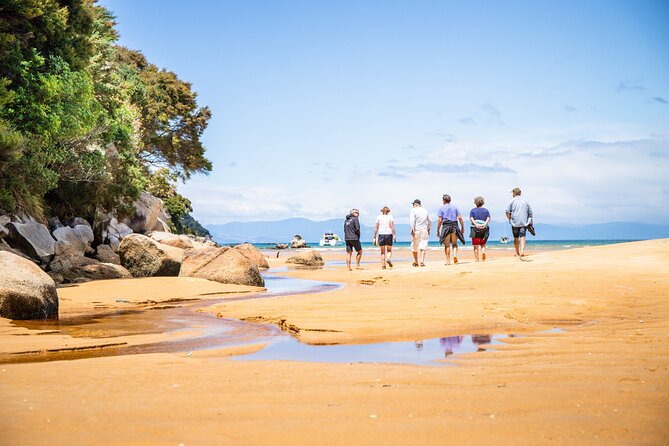 Best Abel Tasman Day trip - Tonga Island Marine Reserve: seals, short hikes, and optional paddling