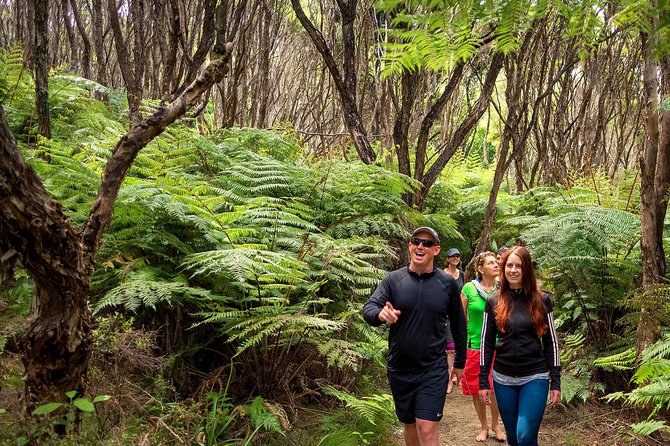 Best Abel Tasman Day trip - Split Apple Rock cruising: quick stop, big identity