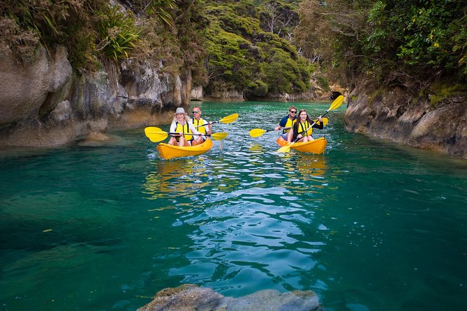 Best Abel Tasman Day trip - The boat day flow: what your timeline really looks like