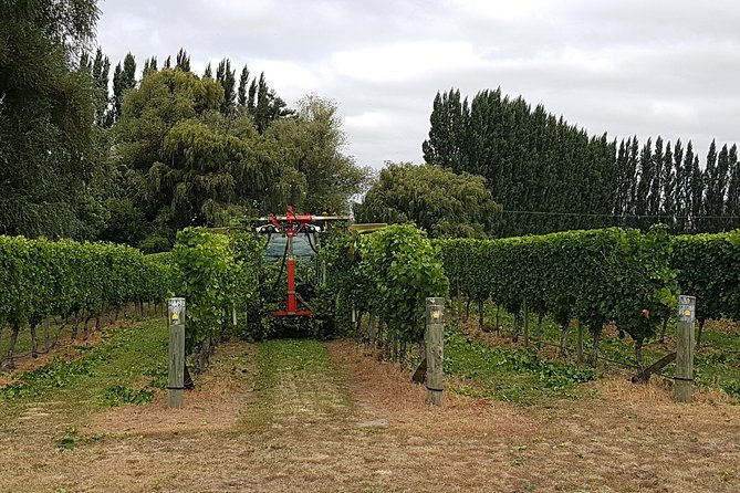 Beyond the Vines - Full-Day Marlborough Wine Tasting Tour - What the tour feels like once you’re in the van