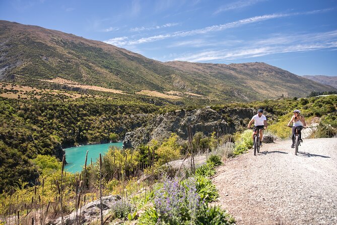 Bike The Wineries (1/2 Day) - Quick Pedal to Pinot - Stop 2: Gibbston Valley Winery cellar door and wine cave option