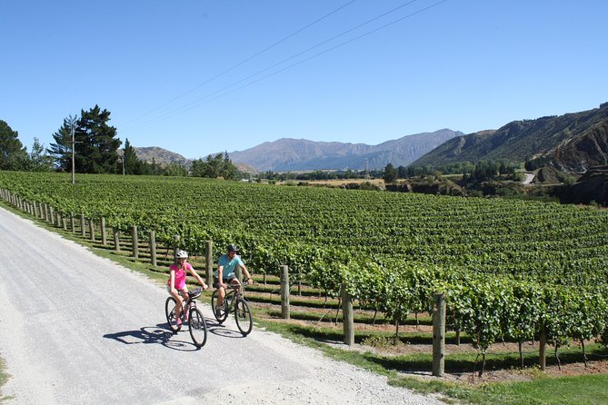Bike The Wineries (3/4 Day) - Ride Through Queenstown Vineyards - Support on the trail, plus what to do if things go wrong