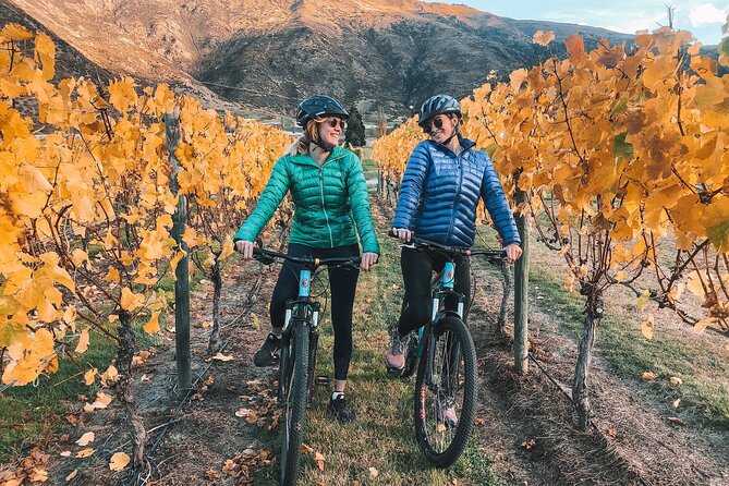Bike The Wineries (3/4 Day) - Ride Through Queenstown Vineyards - Kawarau Suspension Bridge stop: why this moment hits