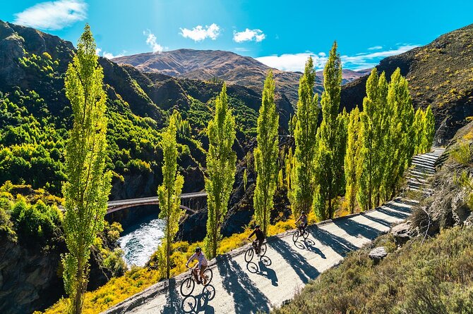 Bike The Wineries (Full-Day) - Bike & Wine Tour - What the full-day setup gets you, bikes, helmets, and shuttles