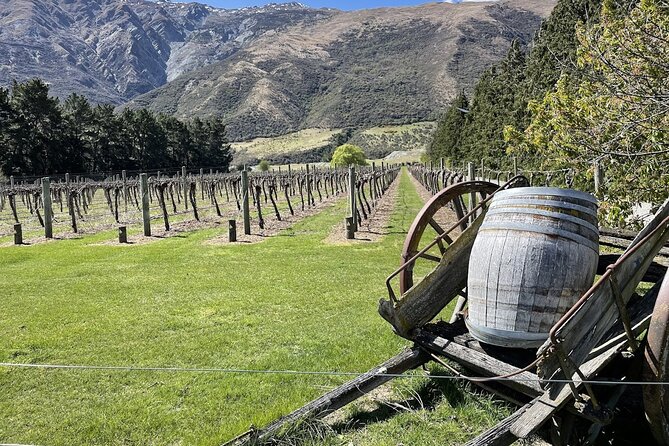 Bike & Wine Tour: Arrowtown to Valley of the Vines - Key things to know before you go