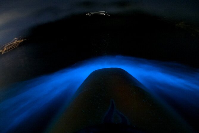 Bioluminescence Kayak Tour - Est. 1994 - Key highlights worth caring about