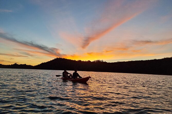 Bioluminescence Kayak Tour - Est. 1994 - Learning to kayak fast, without feeling rushed