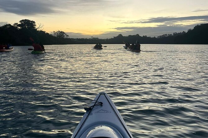 Bioluminescence Kayak Tour - Est. 1994 - Gear and safety, and how you should dress