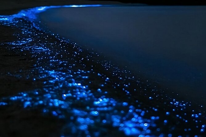 Bioluminescence Kayak Tour - Est. 1994 - Your two-hour flow: sunset paddling into the glow
