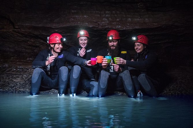 Black Abyss: Ultimate Waitomo Caving - Private Tour from Auckland - Price and logistics: is $775.10 per person good value?