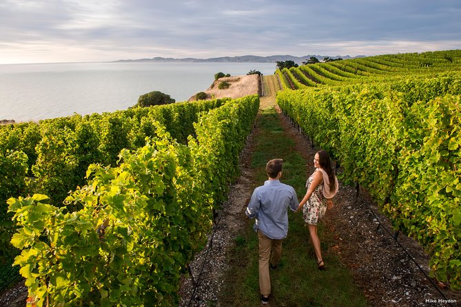 Blenheim Half day Wine Tour - Getting to Marlborough by Luxury Minibus, Not Rental Car Stress