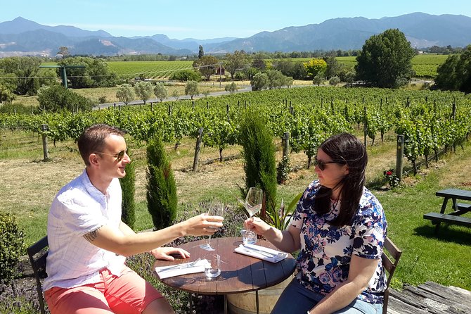 Blenheim Half day Wine Tour - Lunch at Your Own Cost: Budget It, Then Enjoy the Break