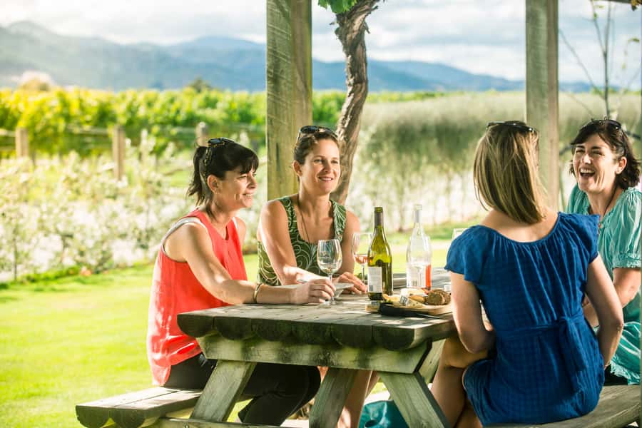 Blenheim/Renwick: Marlborough Half-Day Wine Tour with Lunch - Wineries 3 to 4: Sauvignon Blanc focus, plus Pinot Noir contrast