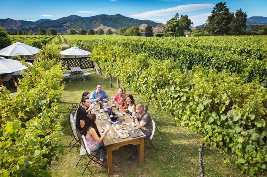 Blenheim/Renwick: Marlborough Half-Day Wine Tour with Lunch - Pickup in Blenheim or Renwick, plus the scenic drive rhythm
