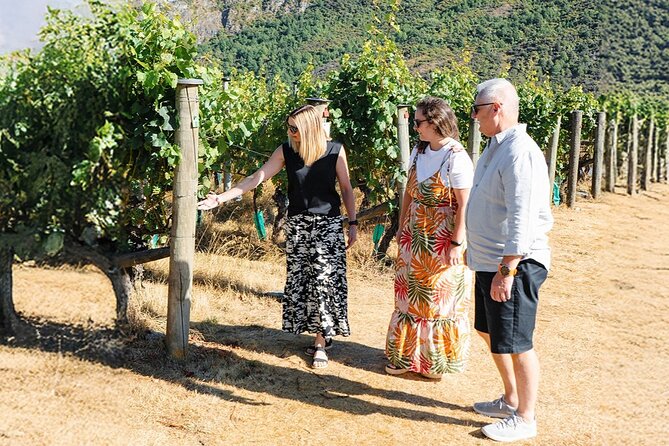 Boutique Wine Tour - visit Central Otago, 4 Wineries & Lunch - Gibbston Stop 5 on the Way Home: The Final Pour and the Scenic Finish
