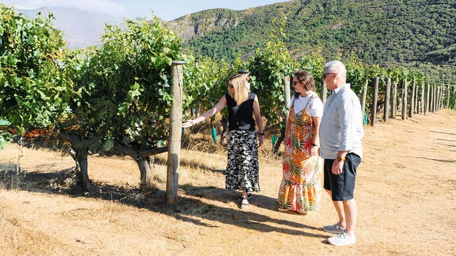 Boutique Winery Half-Day Tour & Vineyard Platter-Style Lunch - Stop 1: the first vineyard tasting, where the guide sets you up for better sipping
