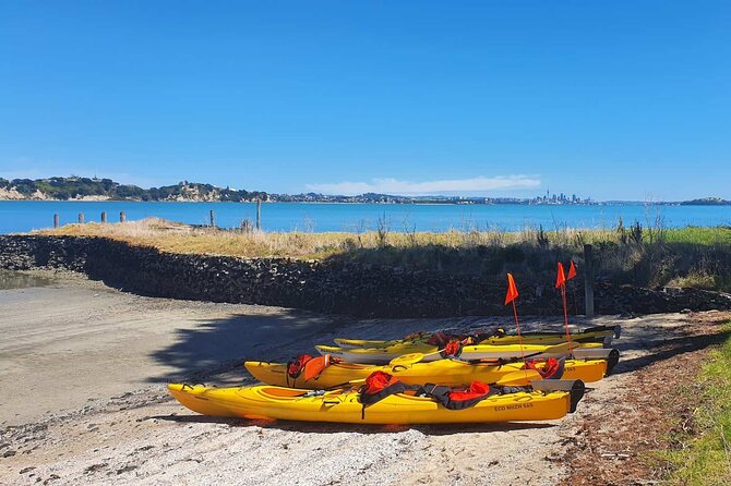 Browns Island Motukorea Sea Kayak Tour - From St Heliers Bay to Motukorea: what the 4 hours feels like