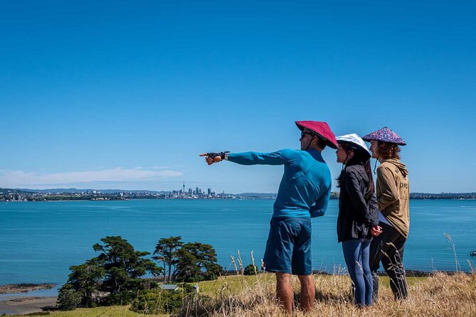 Browns Island Motukorea Sea Kayak Tour - Price and value: how $93.09 makes sense for a 4-hour day