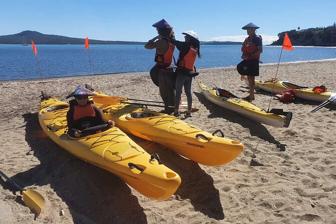 Browns Island Motukorea Sea Kayak Tour - What to expect from the guides, and why it matters