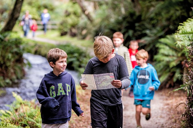Buried Village of Te Wairoa - Key things I’d mark on your map