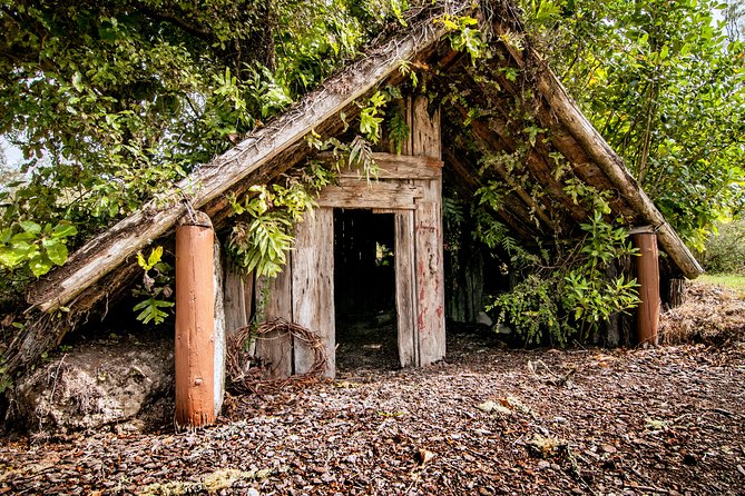 Buried Village of Te Wairoa - Time plan: 1.5 hours is the minimum, 2 hours is a sweet spot